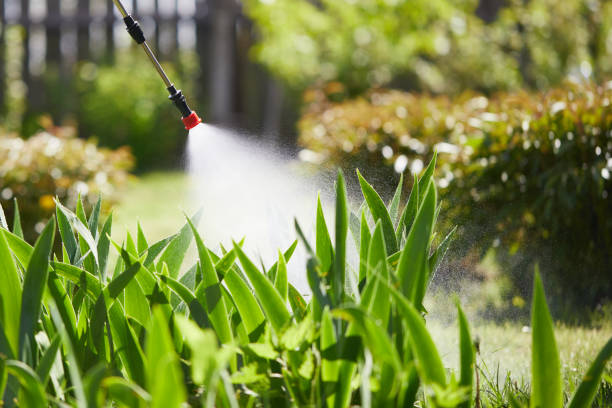 24/7 Emergency Mosquito Control experts in Bass Lake, IN
